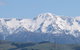 Pinegrove Homestead & Alpacas - thumb 3