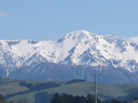 Pinegrove Homestead & Alpacas - Accommodation New Zealand 3