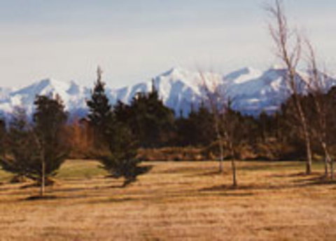 Pinegrove Homestead & Alpacas - Accommodation New Zealand 1
