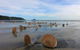 Beachpoint Apartments - thumb 9