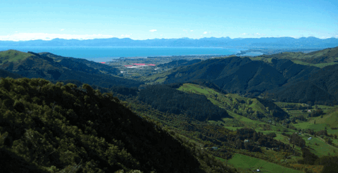 Cherry Park B&B - Accommodation New Zealand 6