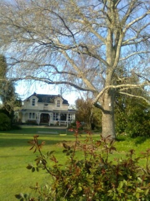 TIMEOUT Bed & Breakfast - Accommodation New Zealand 0