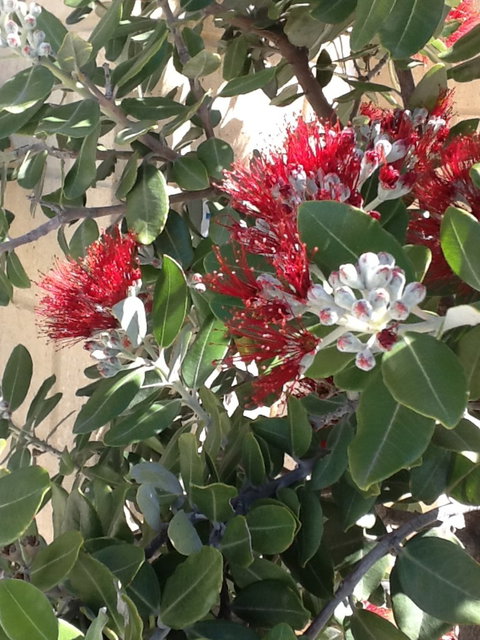 Teviot View Accommodation - Accommodation New Zealand 7