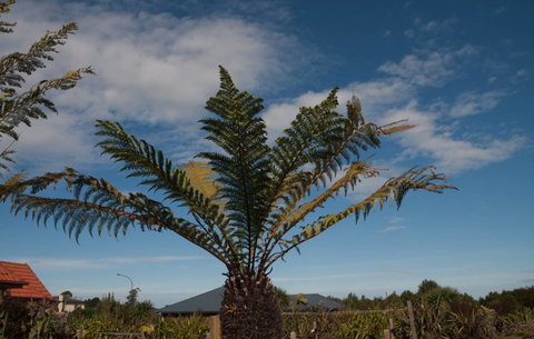 Teviot View Accommodation - Accommodation New Zealand 8