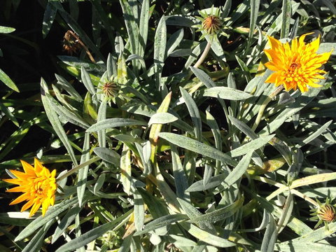 Teviot View Accommodation - Accommodation New Zealand 28