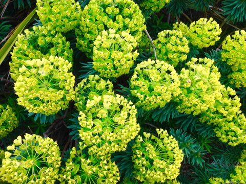 Teviot View Accommodation - Accommodation New Zealand 31