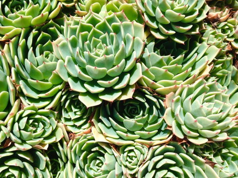 Teviot View Accommodation - Accommodation New Zealand 20