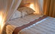 Pagan Vines Vineyard Accommodation - thumb 1