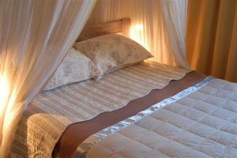 Pagan Vines Vineyard Accommodation - Accommodation New Zealand 1
