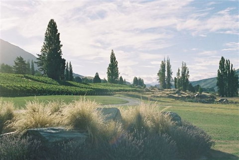 Pagan Vines Vineyard Accommodation - Accommodation New Zealand 7