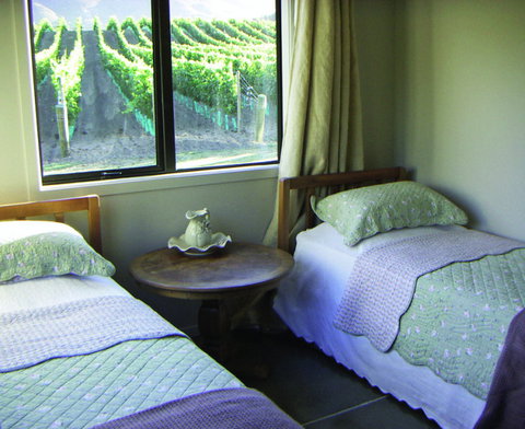 Pagan Vines Vineyard Accommodation - Accommodation New Zealand 8