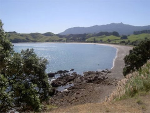 Otautu Bay Farm Camp - Accommodation New Zealand 1