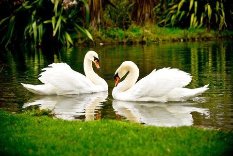 Silverstream Lodge - Accommodation New Zealand 5