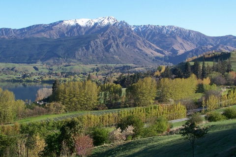 Schist Cottage & Stone Lodge - Accommodation New Zealand 2