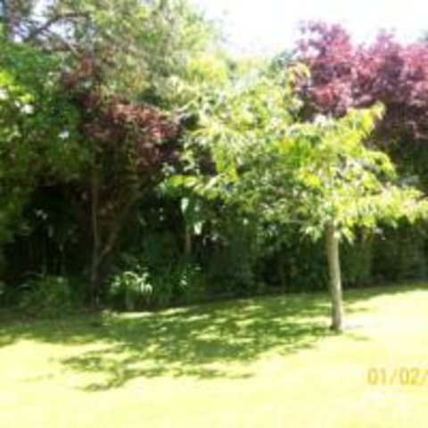 154 Kaniere Road Accommodation - Accommodation New Zealand 7