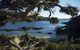 Doubtless Bay Villas - thumb 3