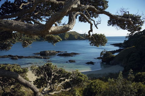 Doubtless Bay Villas - Accommodation New Zealand 3