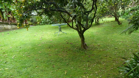 Top Storey B&B - Accommodation New Zealand 9