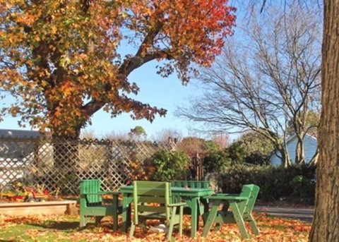 Chanel Court Motel - Accommodation New Zealand 5