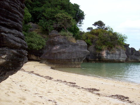 Kawhia Camping Ground - Accommodation New Zealand 6