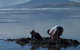 Kawhia Camping Ground - thumb 1