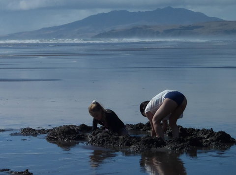 Kawhia Camping Ground - Accommodation New Zealand 1