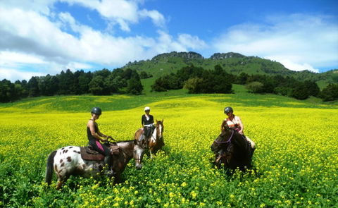 River Valley Adventure Lodge - Accommodation New Zealand 8