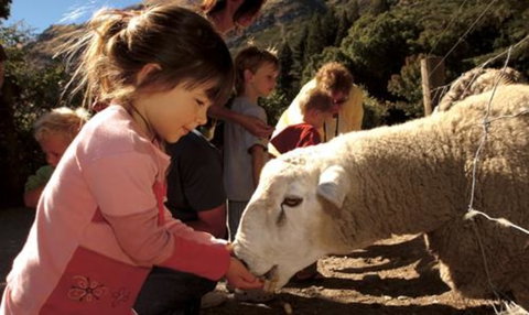 Real Journeys â€“ Queenstown, Fiordland & Stewart Island - Accommodation New Zealand 16