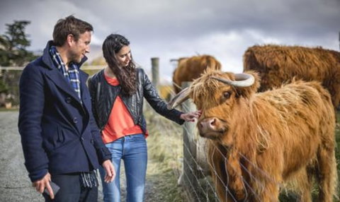 Real Journeys â€“ Queenstown, Fiordland & Stewart Island - Accommodation New Zealand 3