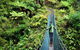 Destination Fiordland New Zealand - thumb 9