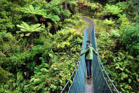 Destination Fiordland New Zealand - Accommodation New Zealand 9