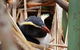 Destination Fiordland New Zealand - thumb 10