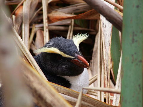 Destination Fiordland New Zealand - Accommodation New Zealand 10