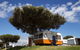 Ohope Beach TOP 10 Holiday Park - thumb 2