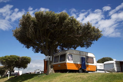 Ohope Beach TOP 10 Holiday Park - Accommodation New Zealand 2