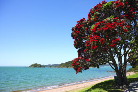 Sea Spray Suites - Heritage Collection - Accommodation New Zealand 10