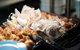 Copthorne Hotel Rotorua - thumb 28