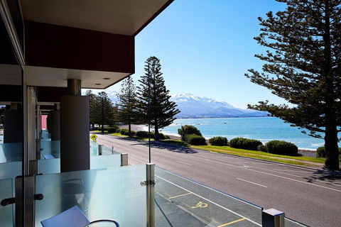 The White Morph - Heritage Collection - Accommodation New Zealand 19