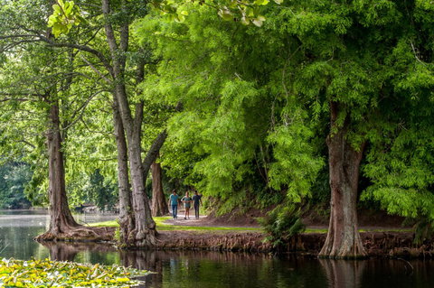 Cambridge TOP 10 - Accommodation New Zealand 1