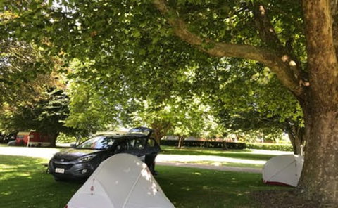 Cambridge TOP 10 - Accommodation New Zealand 9