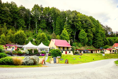 YHA Kinloch Lodge - Accommodation New Zealand 22