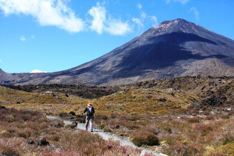 YHA Ohakune, Station Lodge - Accommodation New Zealand 11
