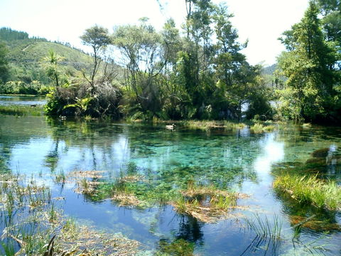 YHA Golden Bay, Annies Nirvana Lodge - Accommodation New Zealand 17