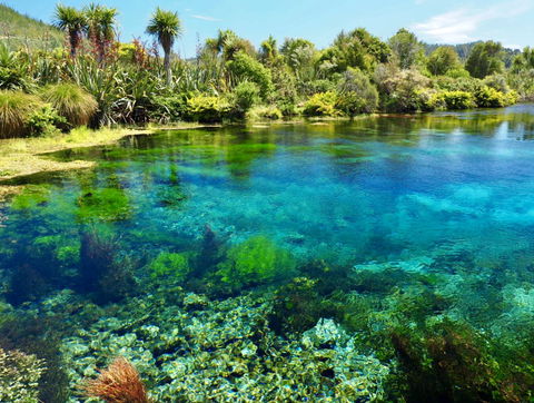 YHA Golden Bay, Annies Nirvana Lodge - Accommodation New Zealand 16