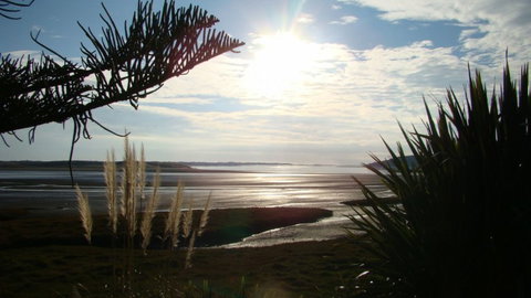 Port Waikato Holiday Park - Accommodation New Zealand 6