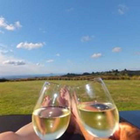 Tauranga Lodge - Accommodation New Zealand 13