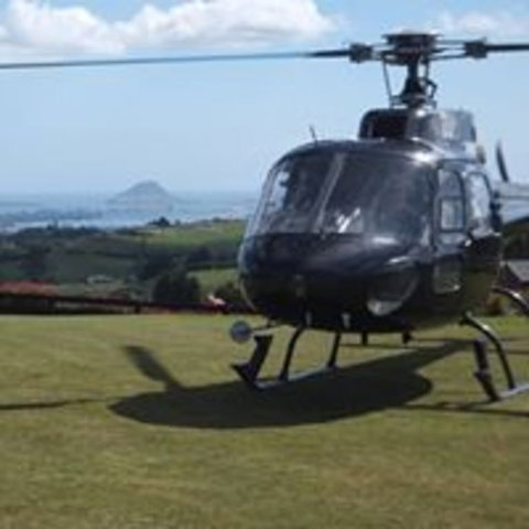 Tauranga Lodge - Accommodation New Zealand 9