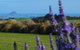 Tauranga Lodge - thumb 3
