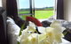 Tauranga Lodge - thumb 6