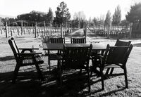 The Crib on Legacy Vineyard
